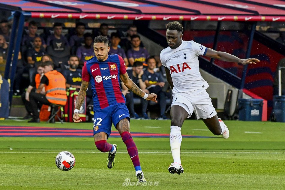 专家视为 专家视为